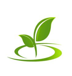 Plantas Acuaticas para acuarios
